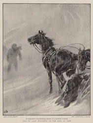 Leben am Lake Winnipeg, in letzter Sekunde